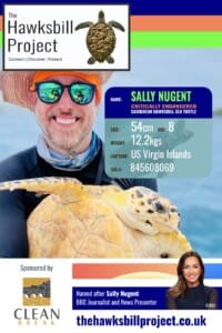Hawksbill Sally Nugent